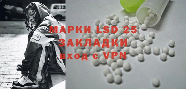 гидра Елизово