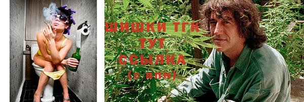 мет Елабуга