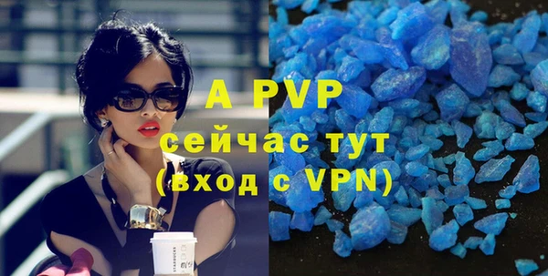 гидра Елизово