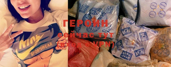 гидра Елизово